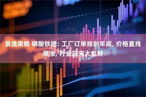 景逸策略 磷酸铁锂: 工厂订单排到年底, 价格直线暴涨, 行业迎来大反转