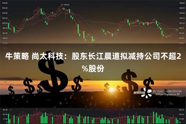 牛策略 尚太科技：股东长江晨道拟减持公司不超2%股份