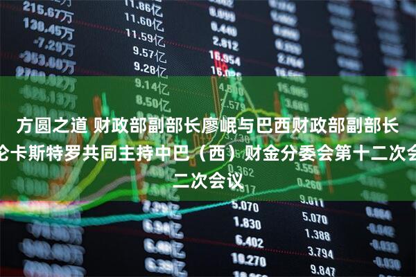 方圆之道 财政部副部长廖岷与巴西财政部副部长阿伦卡斯特罗共同主持中巴（西）财金分委会第十二次会议