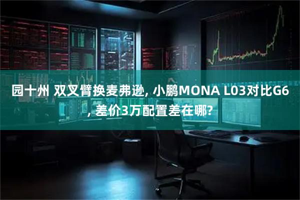 园十州 双叉臂换麦弗逊, 小鹏MONA L03对比G6, 差价3万配置差在哪?